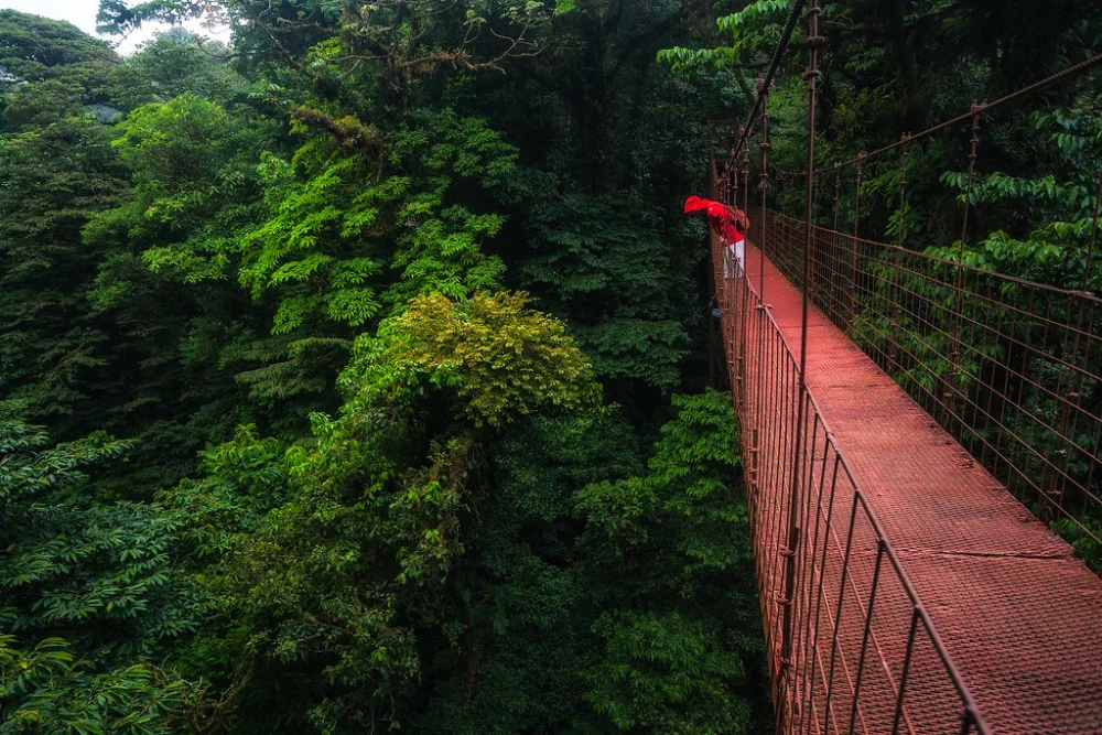 Costa Rica Dark Forest - Moderate Adventure Travel